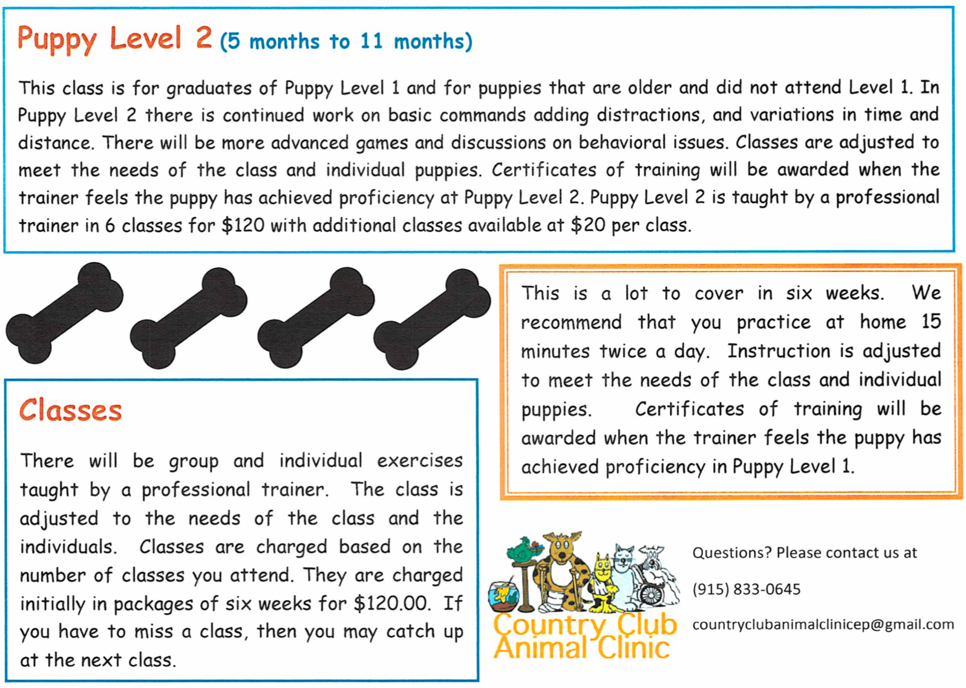 fake teeth getting examined